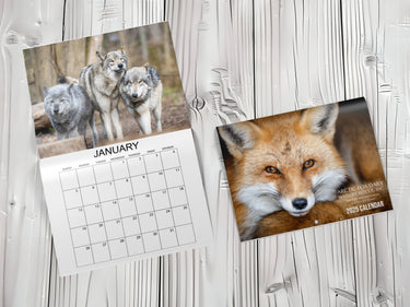 2025 Arctic Fox Daily Calendar